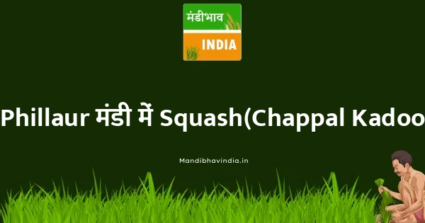 Squash(Chappal Kadoo) भाव